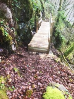 2025 12 21 13 21 56 129